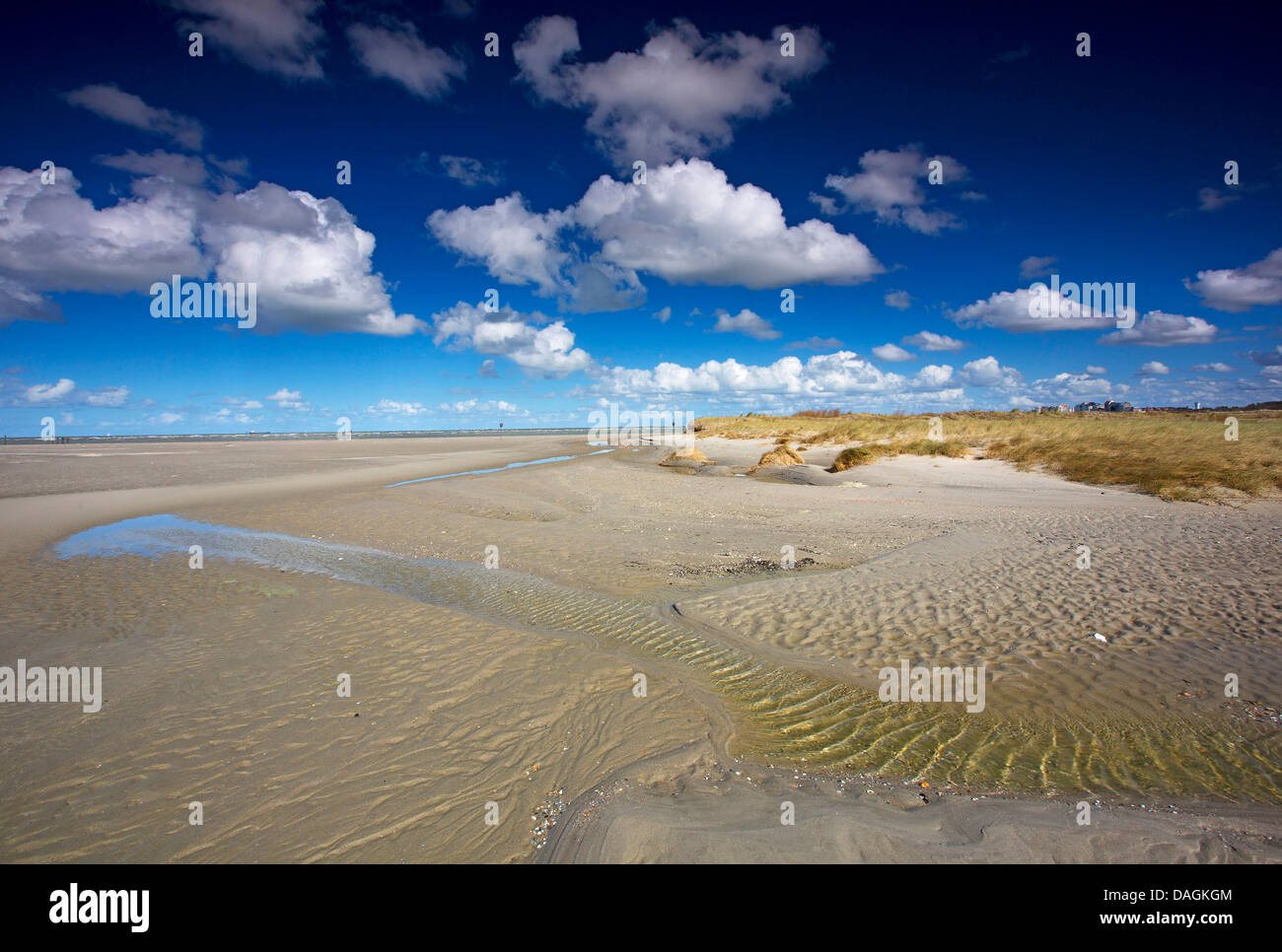 Paysage de dunes du littoral de la mer du Nord, Belgique, Knokke-le-Zoute Banque D'Images