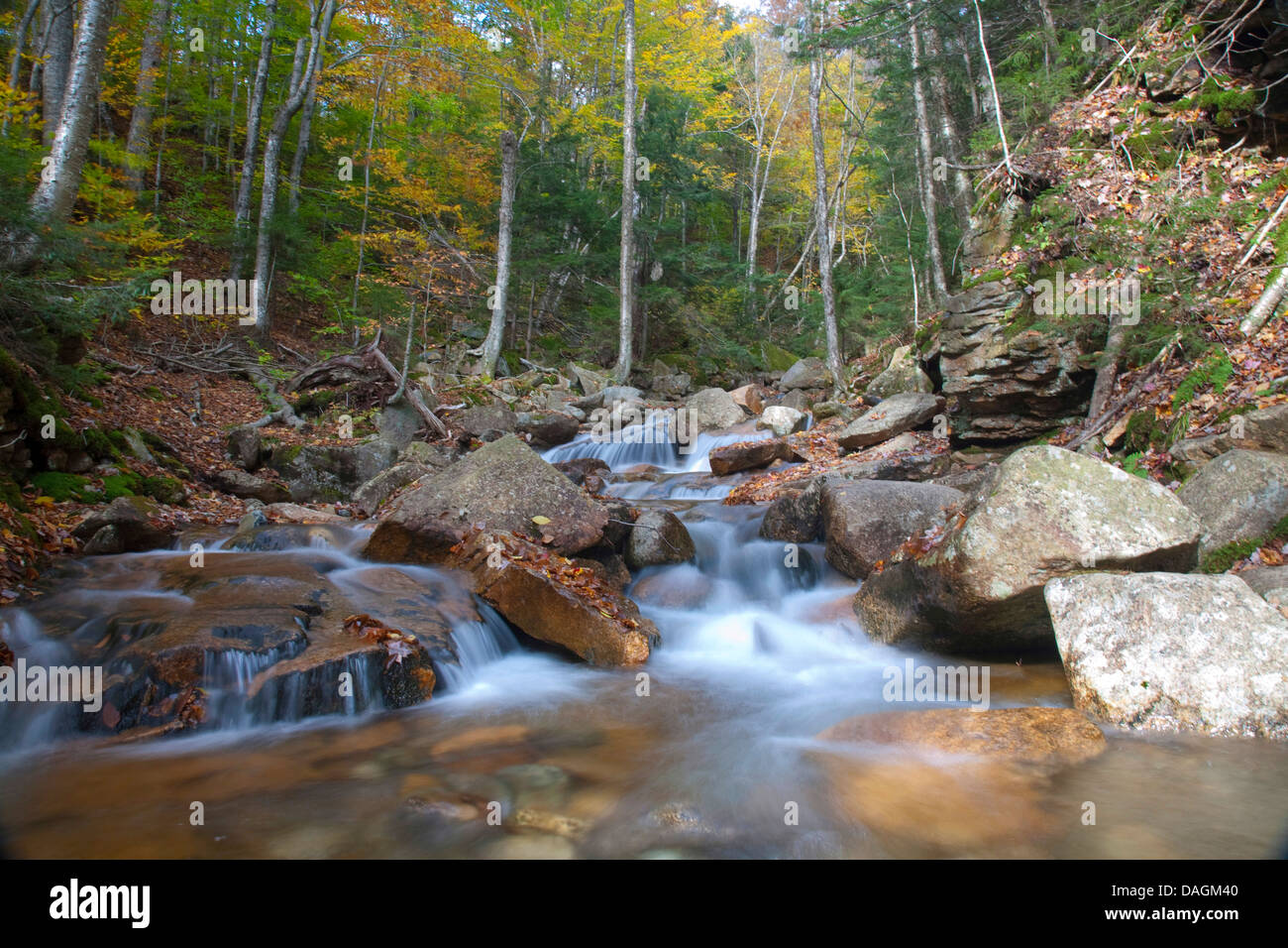 Le ruisseau sauvage avec des rochers en forêt d'automne, USA, New Hampshire, Franconia Notch-State Park, Lincoln Banque D'Images