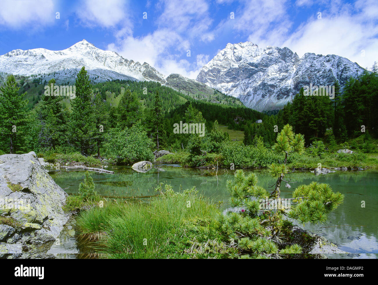 Paysage de montagne idyllique, Val Viola, Suisse, Bernina, Haute-Engadine Banque D'Images