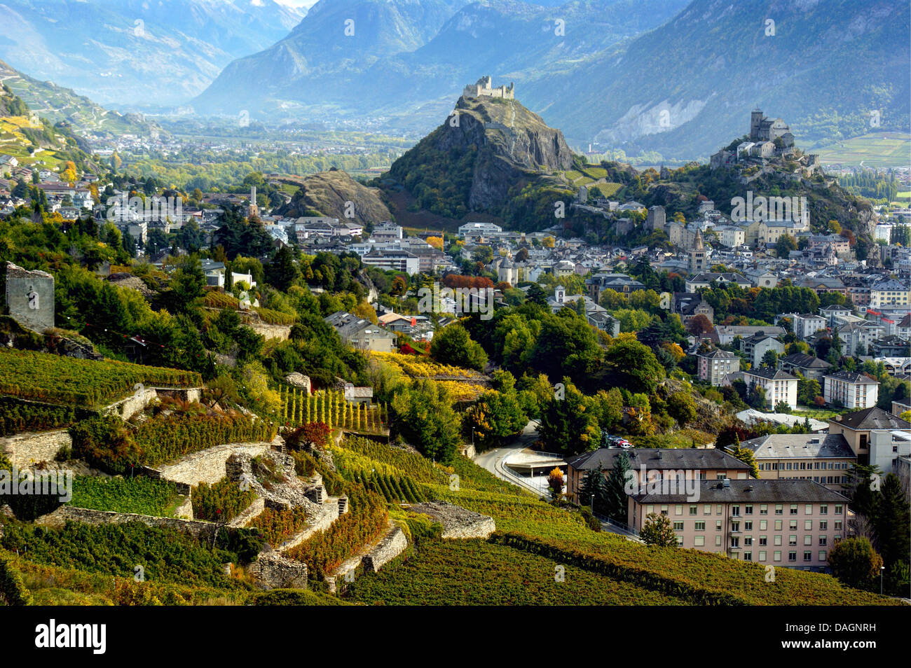 Vue de Sion avec des vignes et des châteaux, Suisse, Valais, Sion Banque D'Images