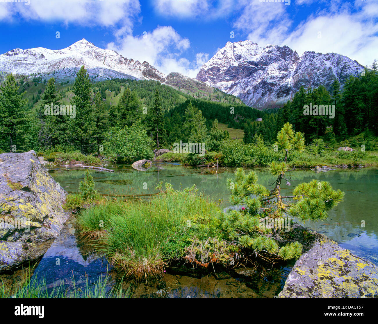 Lac de montagne idyllique de Val Viola, Val da Camp, col de la Bernina, Suisse, Oberengadin Banque D'Images