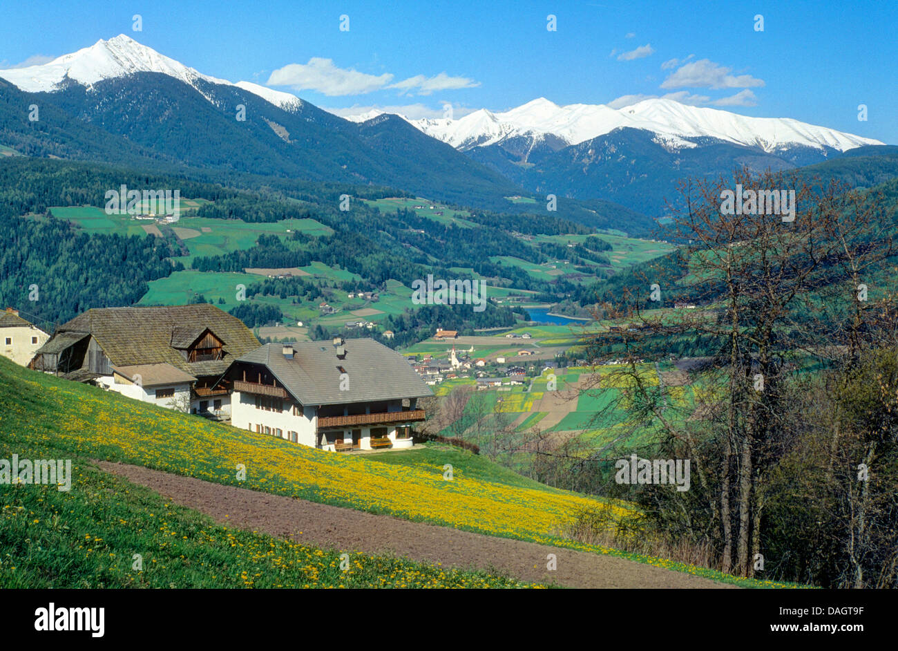 Voir au-dessus de Val Pusteria à Villgrate montagnes, l'Italie, le Tyrol du Sud, Dolomites, Oberolong Banque D'Images