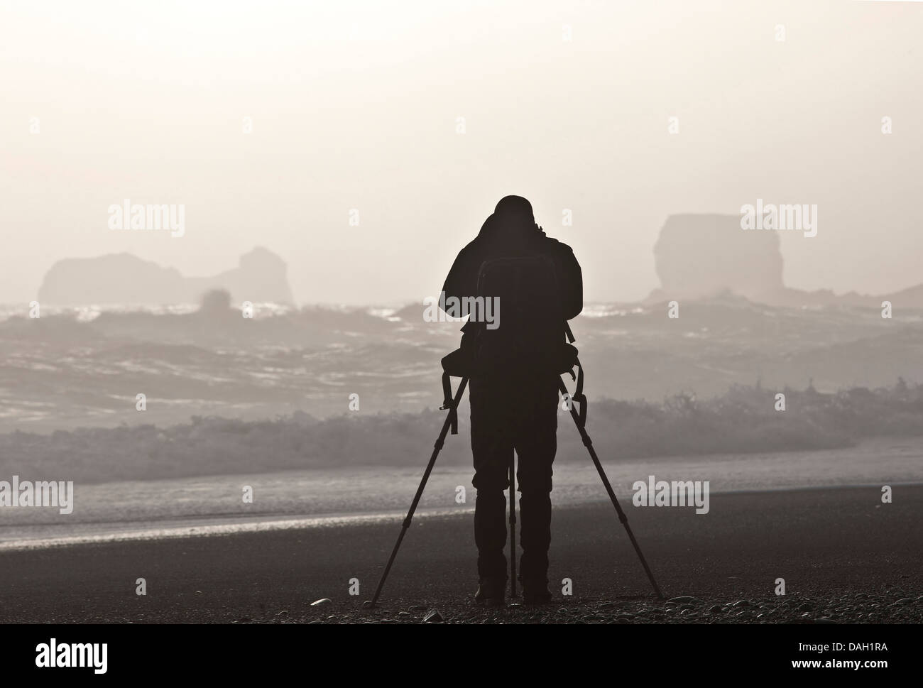 Photographe de la nature de la prise de vue à la rive, de l'Islande Banque D'Images