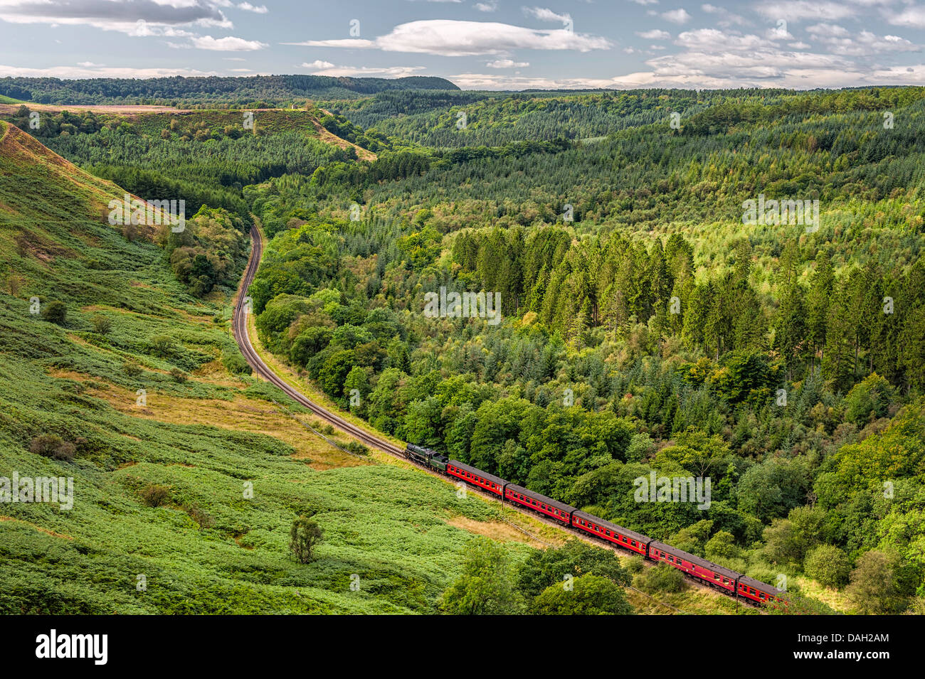 Train à vapeur d'époque sur son chemin jusqu'à Pickering de Whitby à travers la forêt dans les North York Moors National Park, Yorkshire, UK. Banque D'Images
