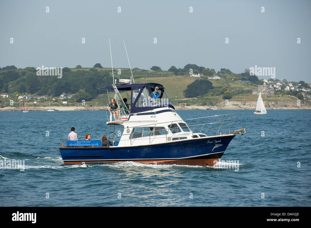 Bateau d'observation de la faune Banque D'Images