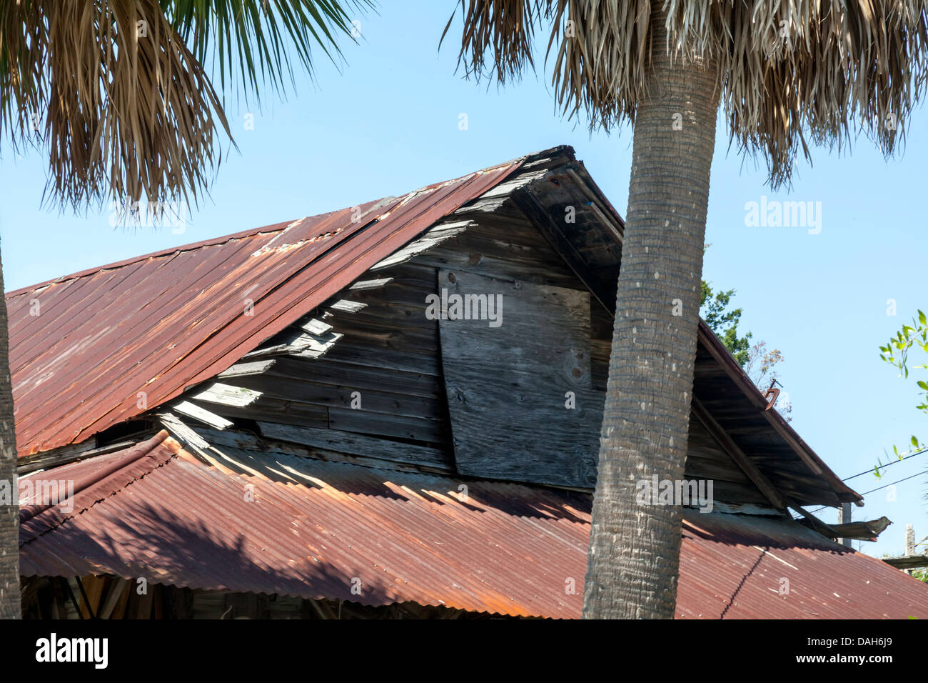 Panneaux de toiture en métal rouillé couvrir un toit battu sur une vieille maison à ossature bois délabrés de Cedar Key, en Floride. Banque D'Images