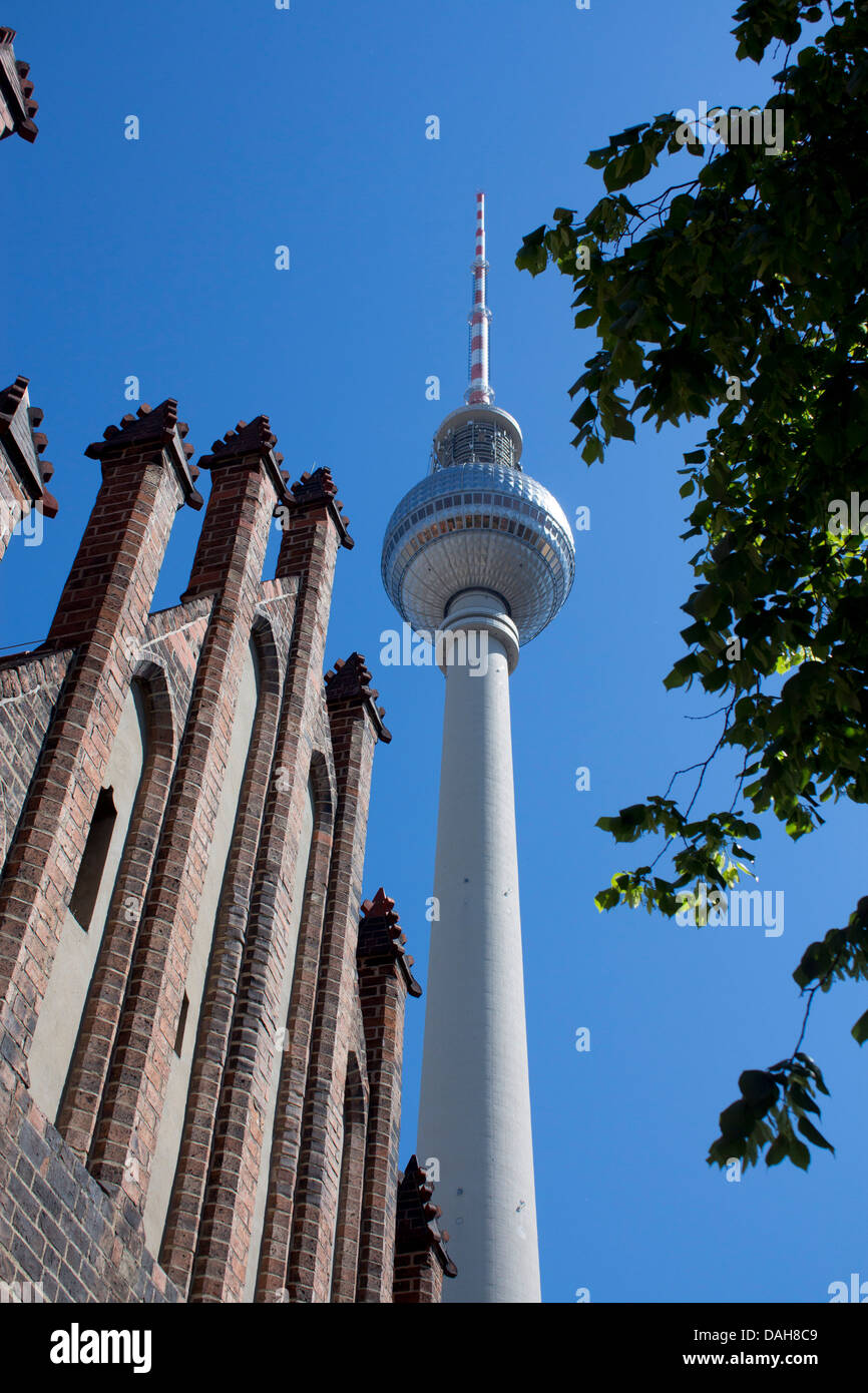 Fernsehturm, la tour de télévision et d'une partie du en premier plan Marienkirche Allemagne Berlin Mitte Banque D'Images