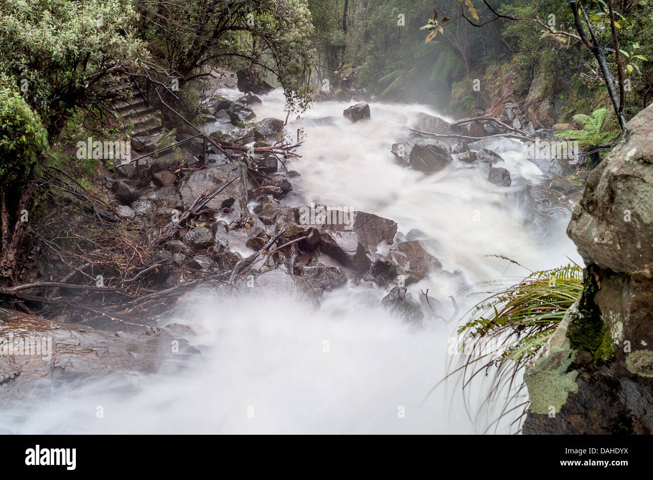 Vue de dessus des chutes de Snobs Creek dans la forêt d'État de Rubicon près d'Eildon, Victoria, montrant l'eau précipitée descendant à travers les rochers et la forêt. Banque D'Images