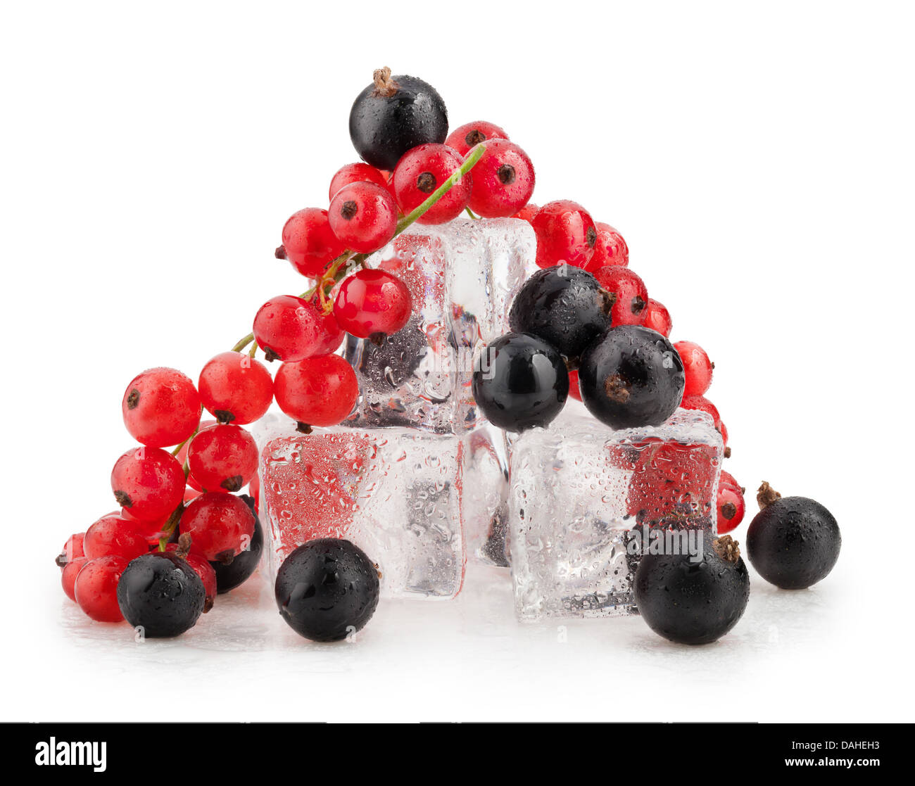 Les baies de cassis et de groseille avec des cubes de glace sur fond blanc Banque D'Images