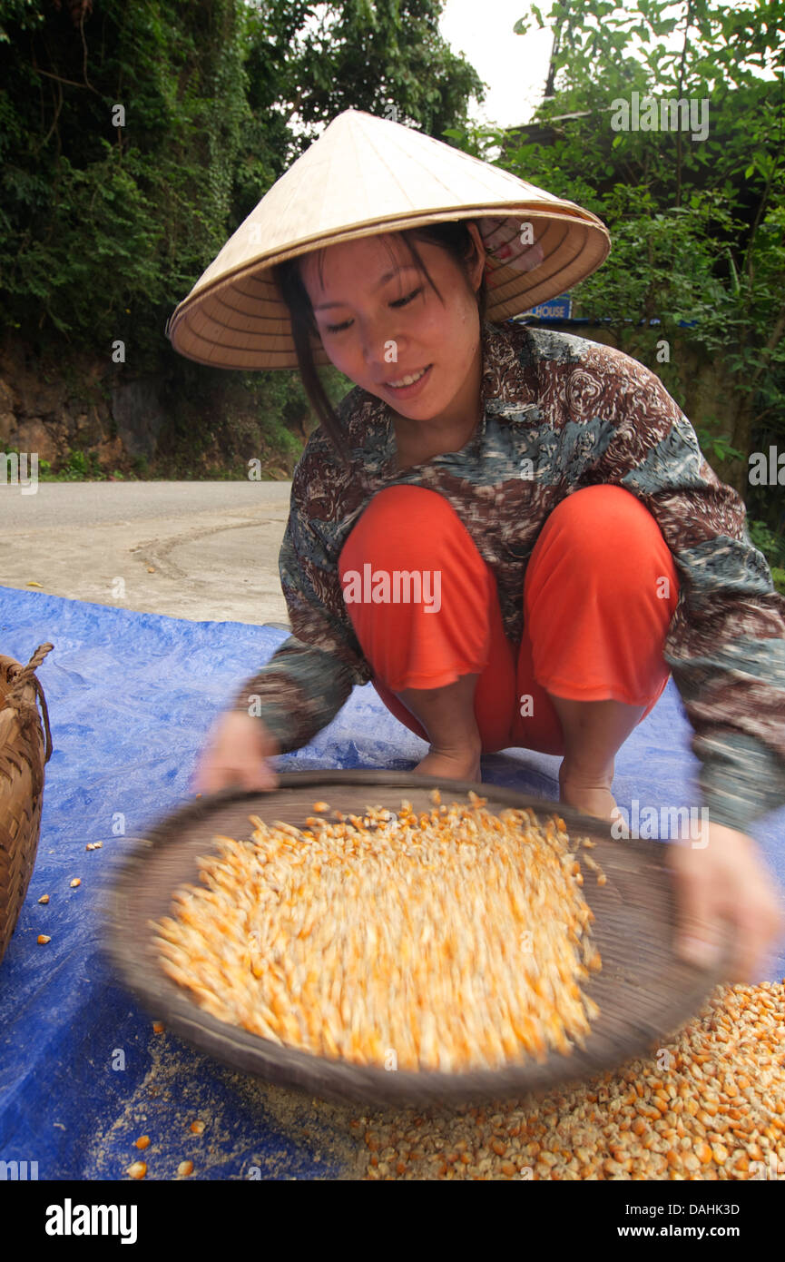 Vietnamienne de l'extraction des grains de maïs. Lac de Ba Be, Bac Kan, district de la province de Bac Kan. Sw Vietnam Banque D'Images