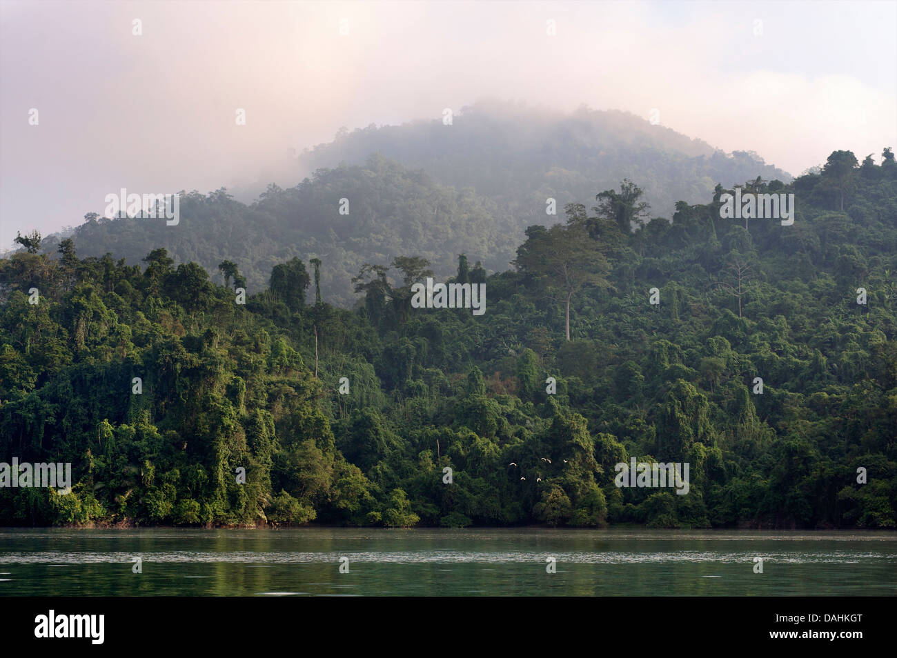 Lac de Ba Be est le plus grand lac naturel de France. Nam Mau commune, district de Bac Kan, province de Bac Kan. Vietnam nord-est Banque D'Images