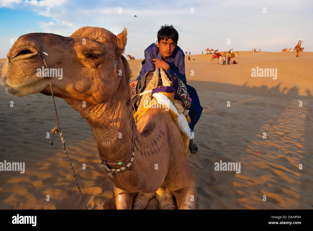 Un garçon sur le dos d'un chameau à Jaisalmer, Inde au cours de la Festival du désert Banque D'Images