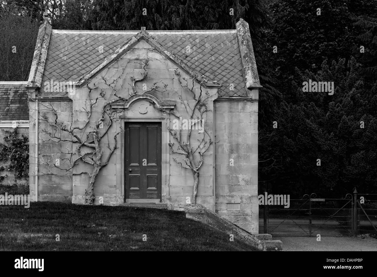 Étages Château - Parterre - l'espalier arbre contre le bâtiment Banque D'Images