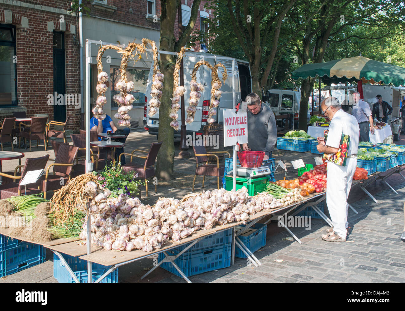 Marché de plein air vente de décrochage la nouvelle récolte de l'ail, Peronne, dans le nord de la France Banque D'Images