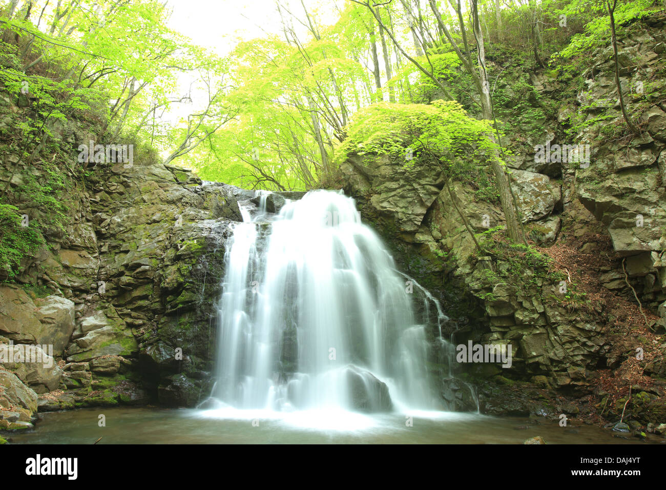 Cascade de frais vert, nom est Asamaootaki, Gunma, Japon Banque D'Images