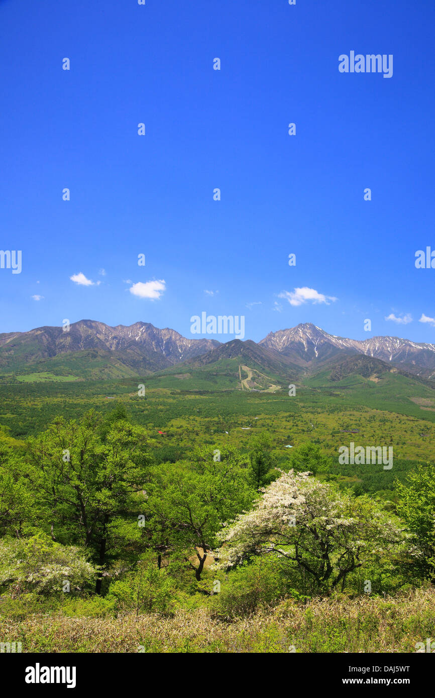 Mt. Yatsugatake de frais vert, Nagano, Japon Banque D'Images