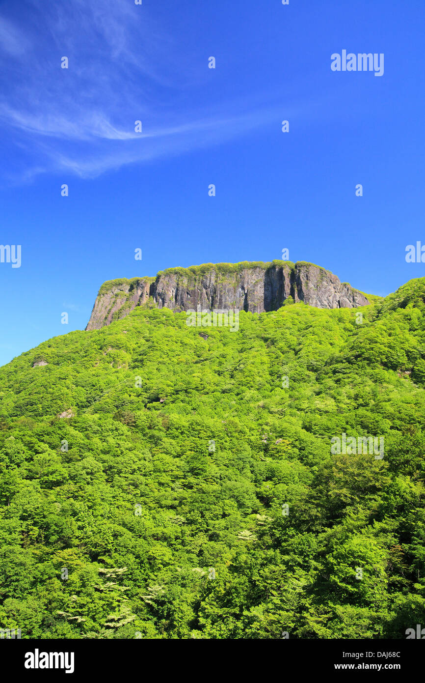 Mt. Avec de la verdure fraîche Arafune, Gunma, Japon Banque D'Images