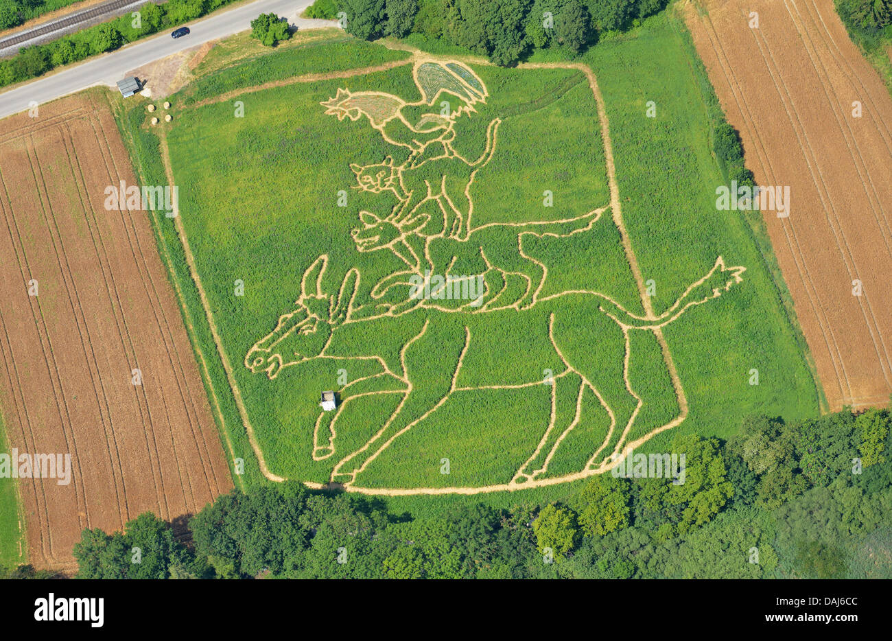 La Photo Aerienne Montre Un A Travaille Sur Terrain Avec Un Melange De Mais Chanvre Moelleux Commun Et Bien Des Fleurs Dans Lesquelles Les Agriculteurs Corinne Et Uli Ernst Tondu Un Labyrinthe