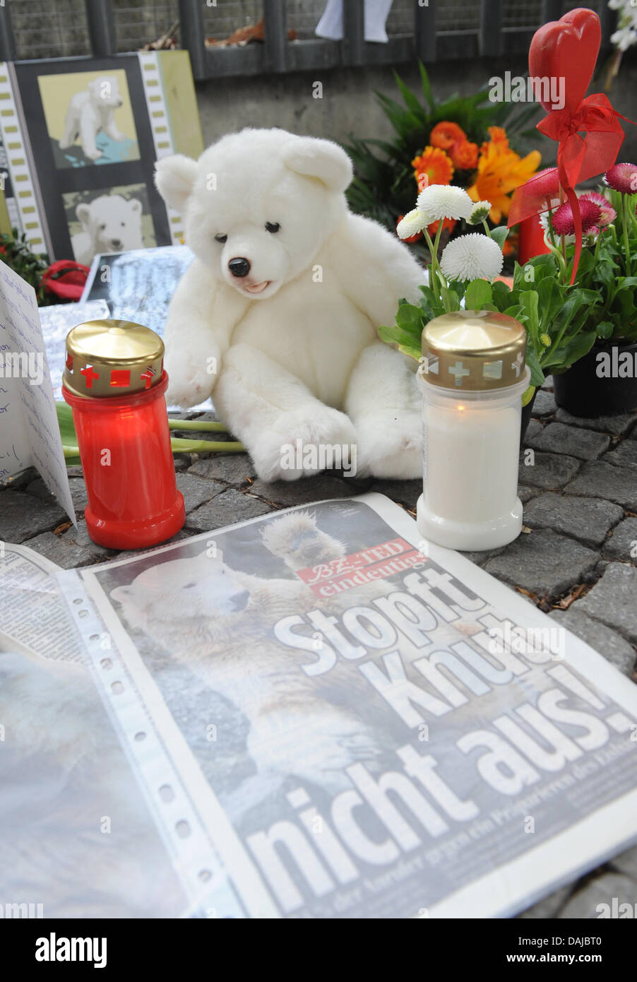 Bougies et les animaux en peluche de la mort de l'ours polaire Knut, sont  considérés, en face de l'entrée principale du zoo de Berlin, Allemagne, 02  avril 2011. Knut est mort soudainement