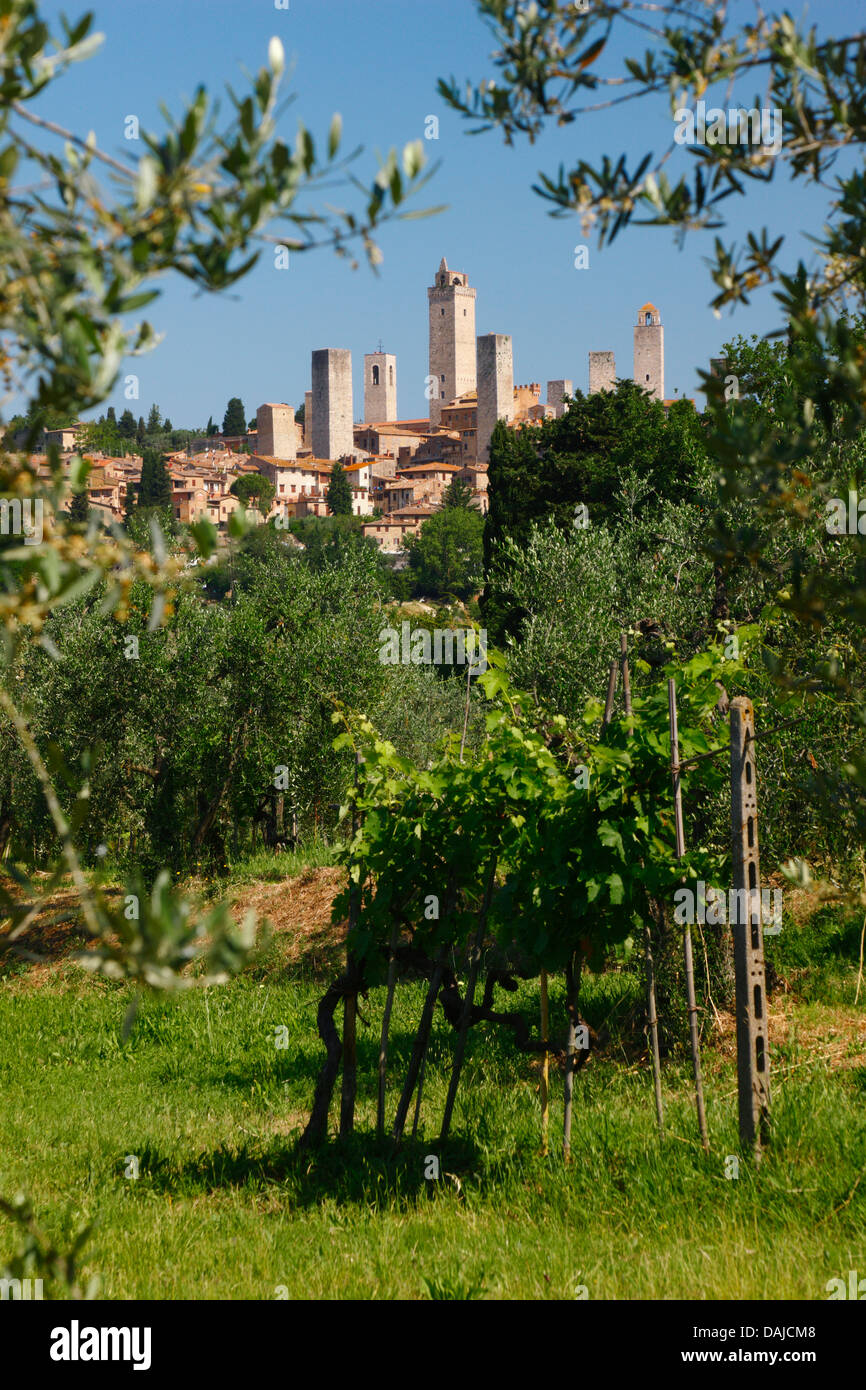 San Gimignano, Italie Banque D'Images