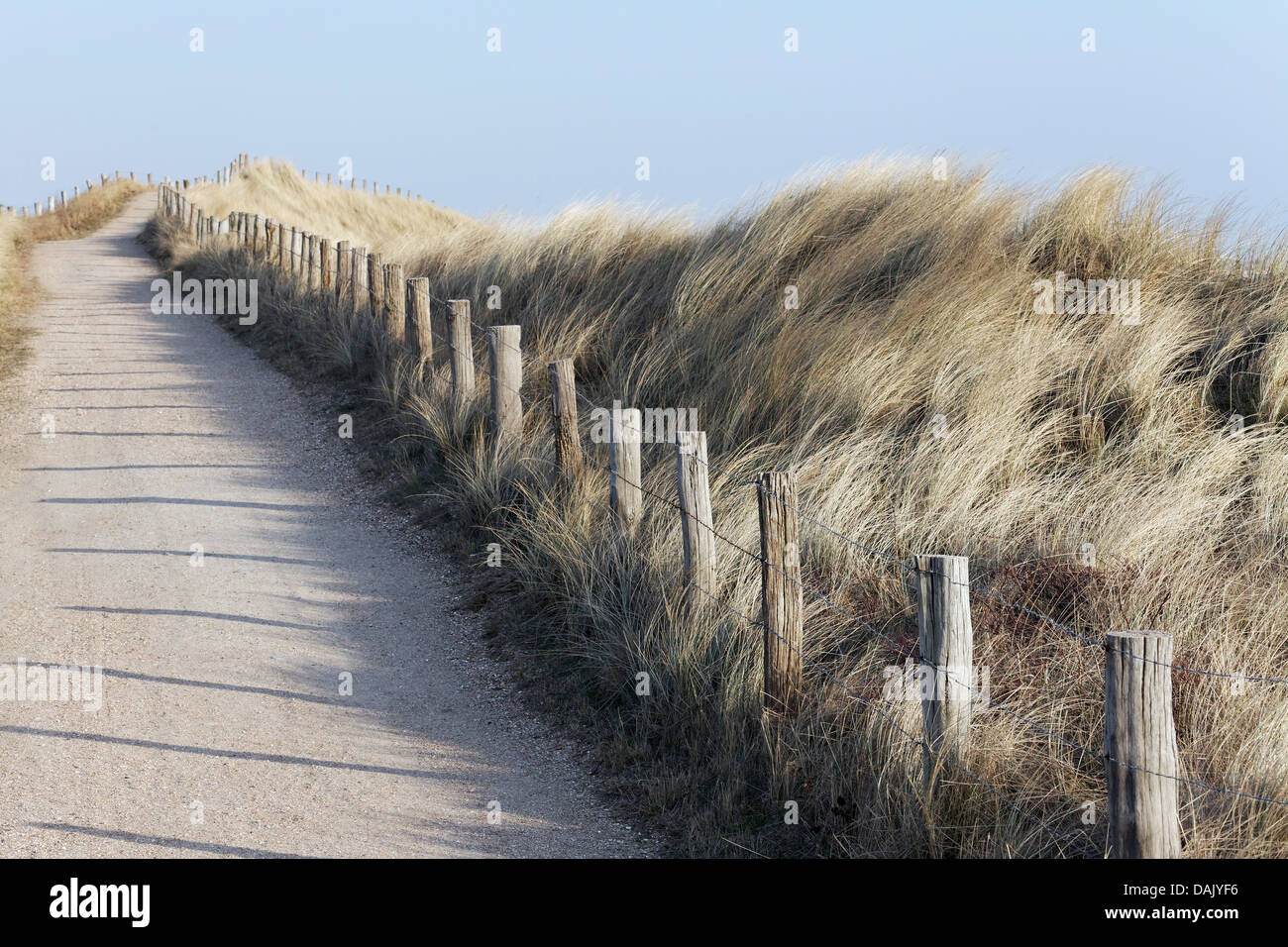 Promenade à travers les dunes sur la côte de la mer du Nord Banque D'Images