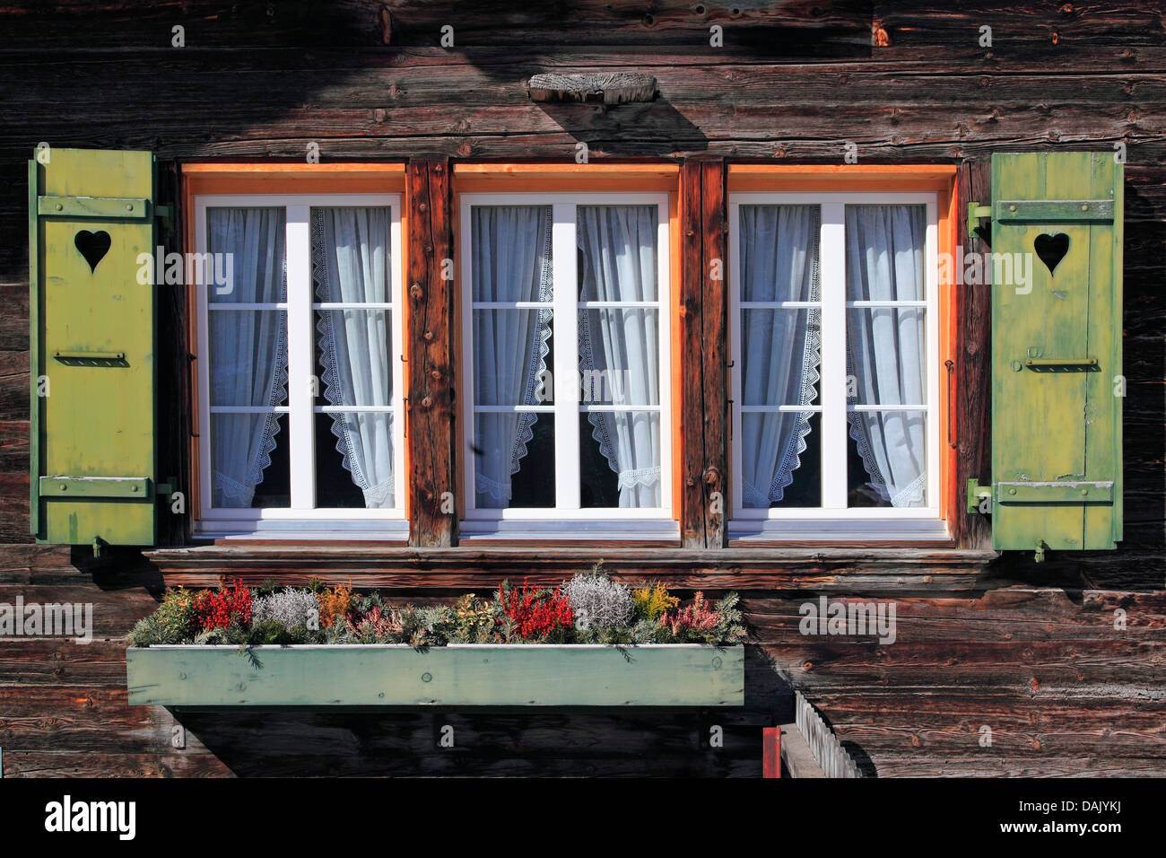 Fenêtres d'une maison en bois alpin suisse, la Suisse, l'Oberland bernois Banque D'Images