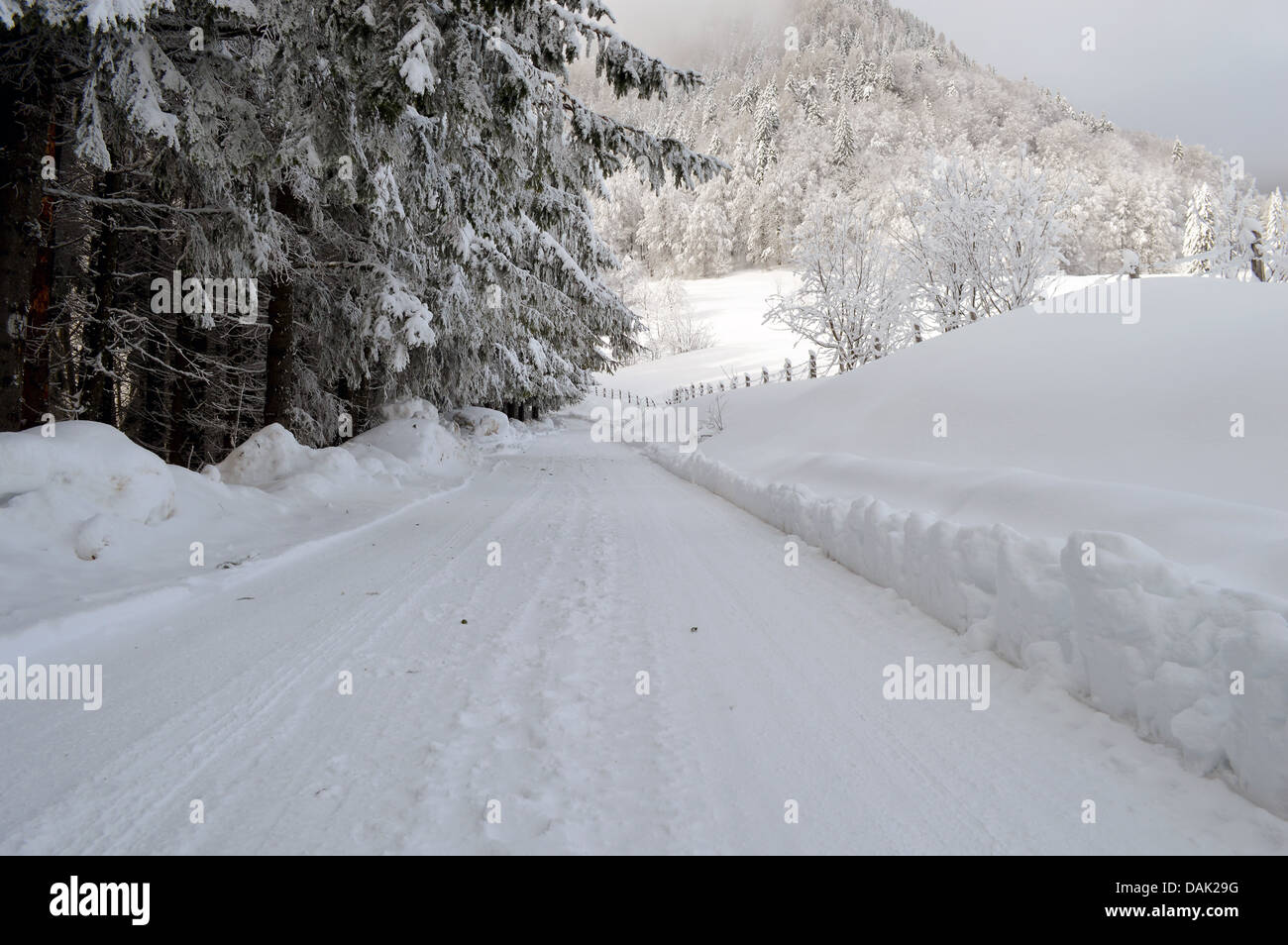 Route de montagne en hiver Banque D'Images