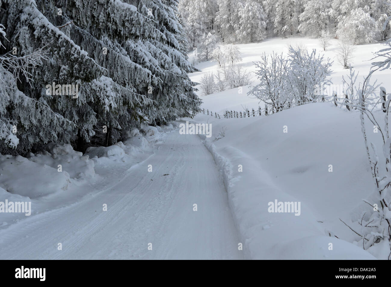 Route de montagne en hiver Banque D'Images