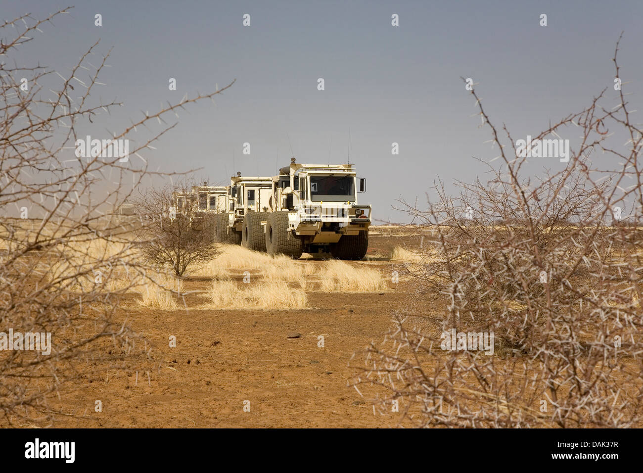 L'exploration du pétrole au Mali. Vibrateur sismique des véhicules se déplaçant à travers désert et frottez le relief levé géophysique de concession. Banque D'Images