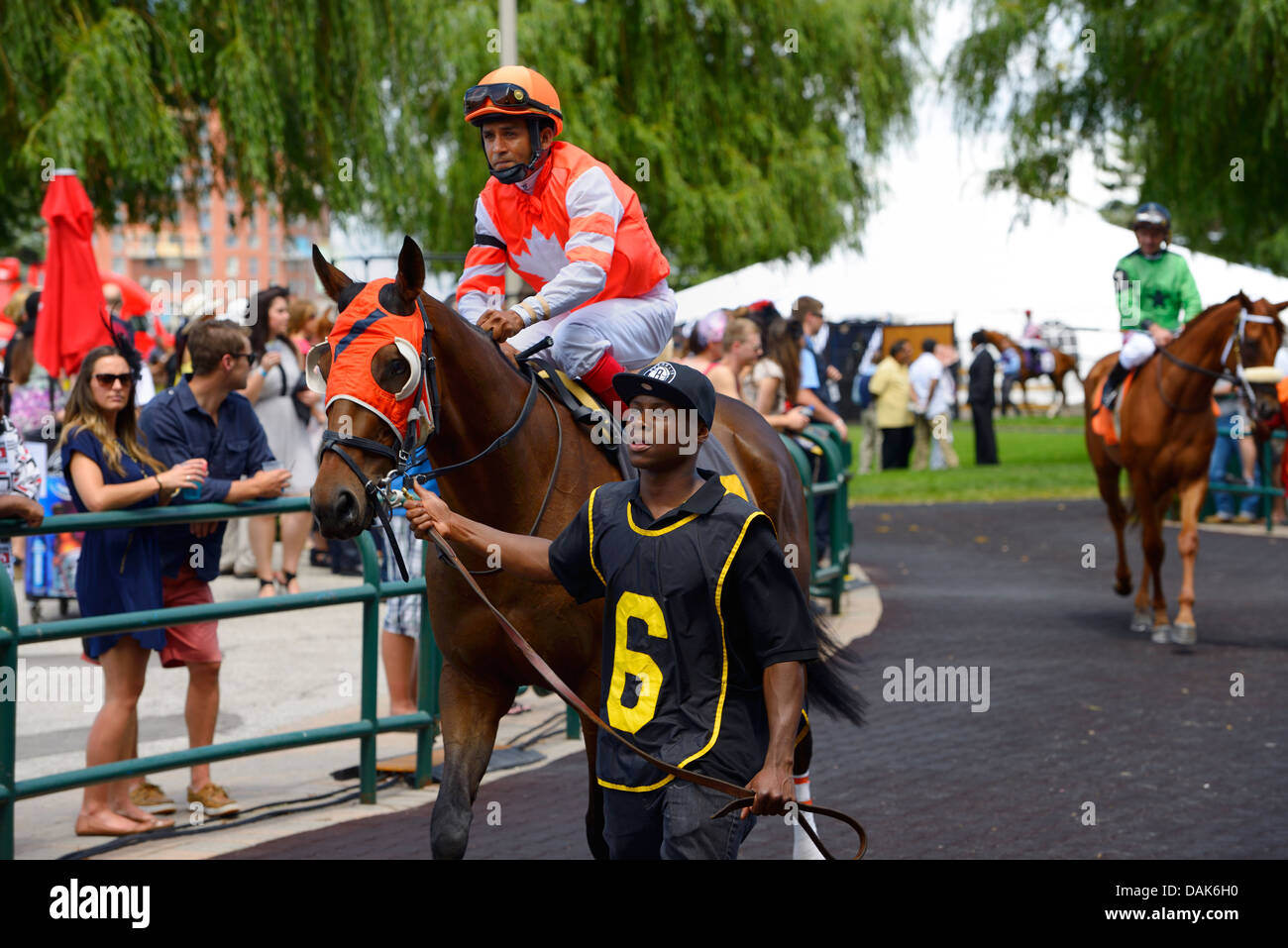 Un peu de chevaux pur-sang dan dans l'anneau de marche à l'hippodrome Woodbine plaque queens toronto canada Banque D'Images