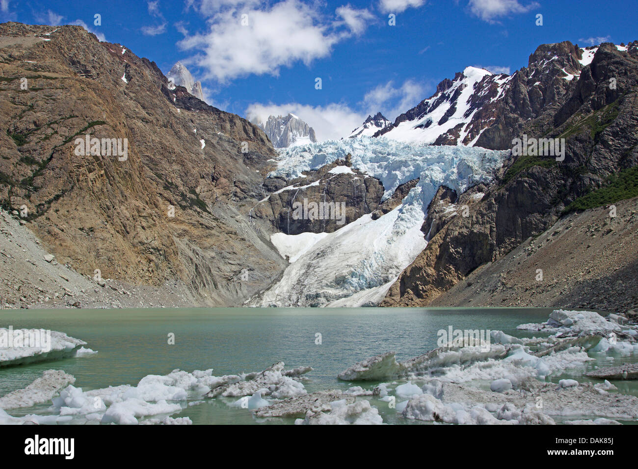 Piedras Blancas glacier Piedras Blancas, Laguna et l'Argentine, la  Patagonie, les Andes, le Parc National Los Glaciares Photo Stock - Alamy