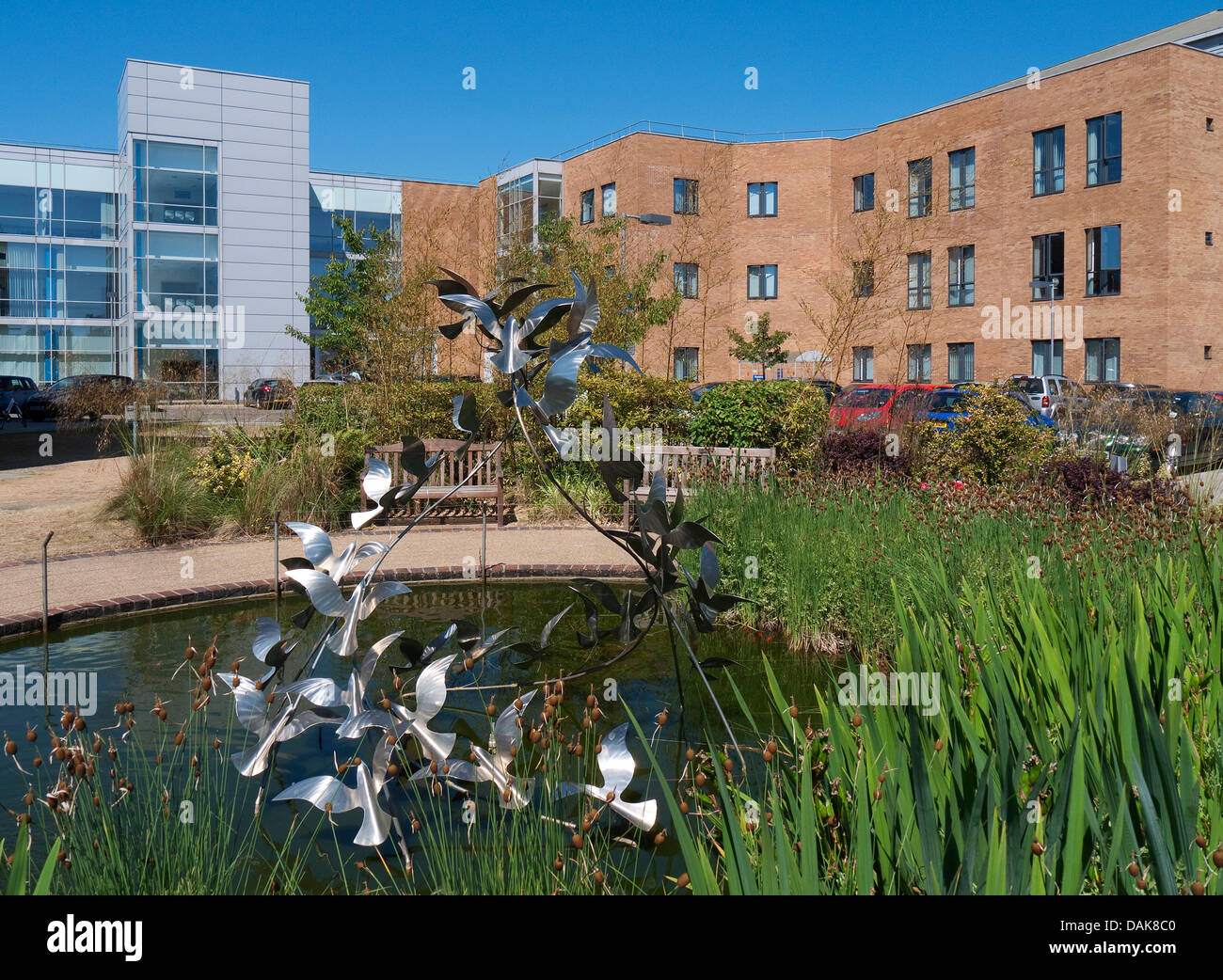 Norfolk et Norwich university hospital Banque D'Images