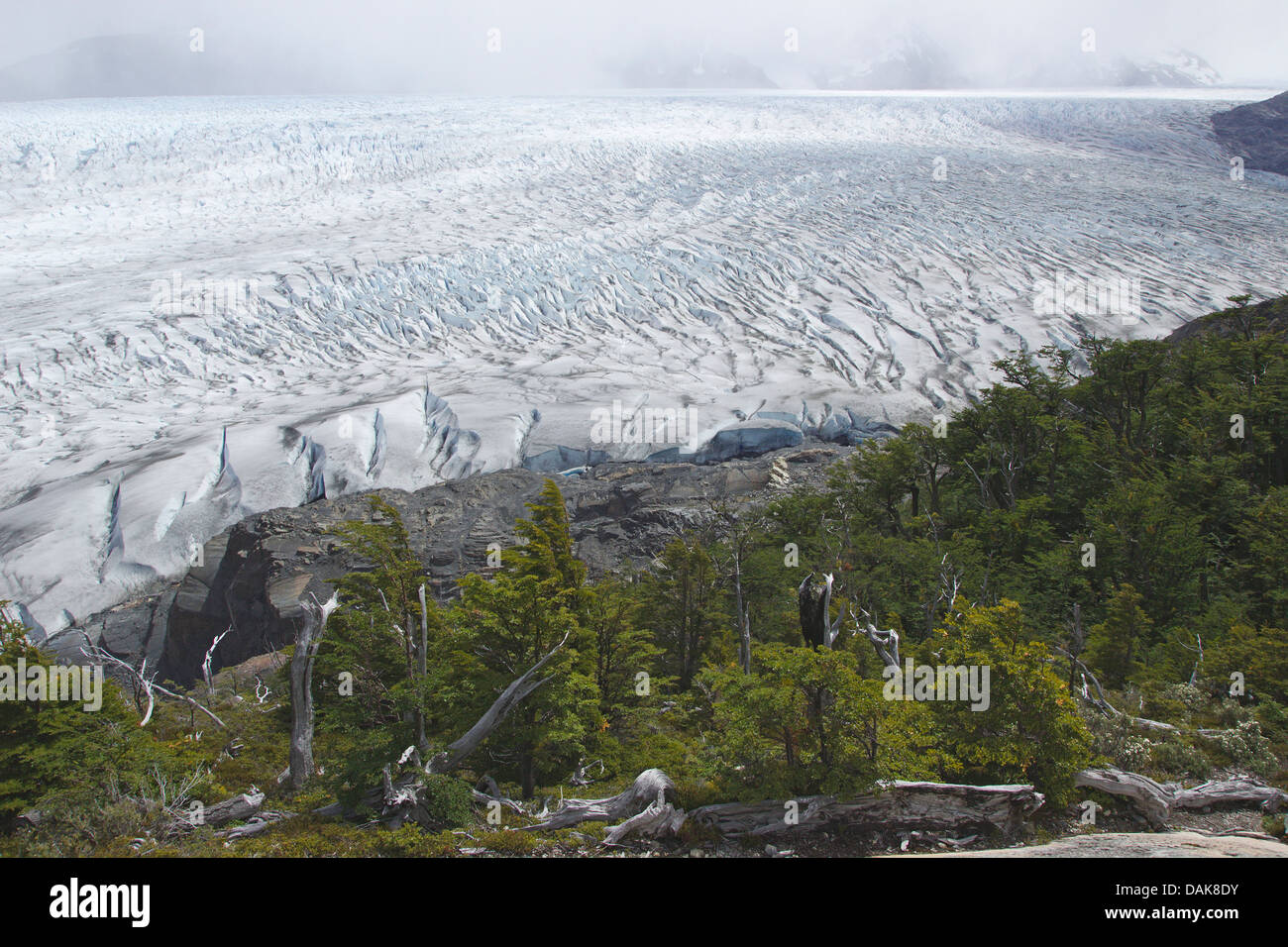 Glacier Grey, le Chili, la Patagonie, le Parc National Torres del Paine Banque D'Images