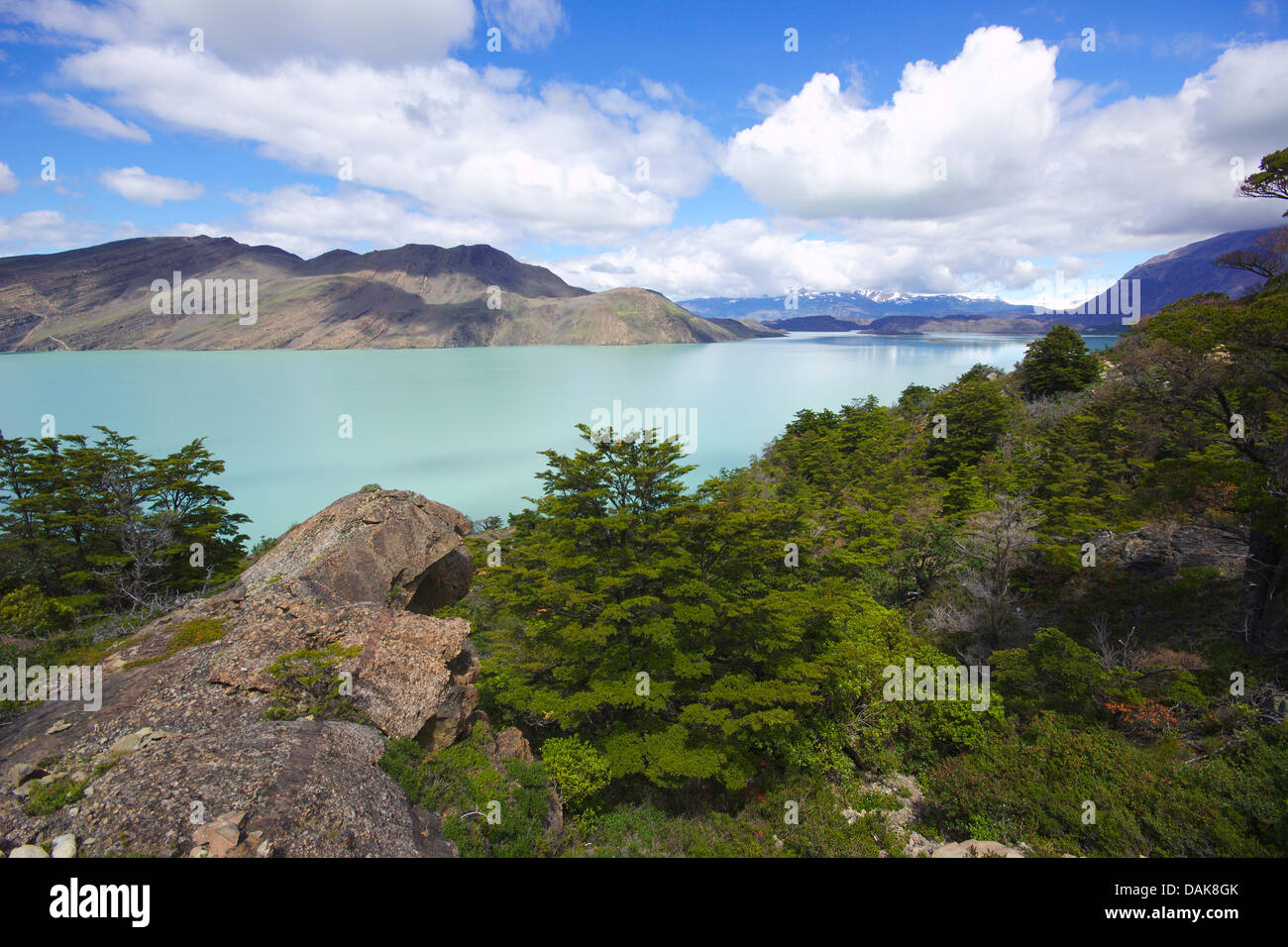 Lac Nordenskjoeld, Chili, Patagonie, Torres del Paine National Park Banque D'Images