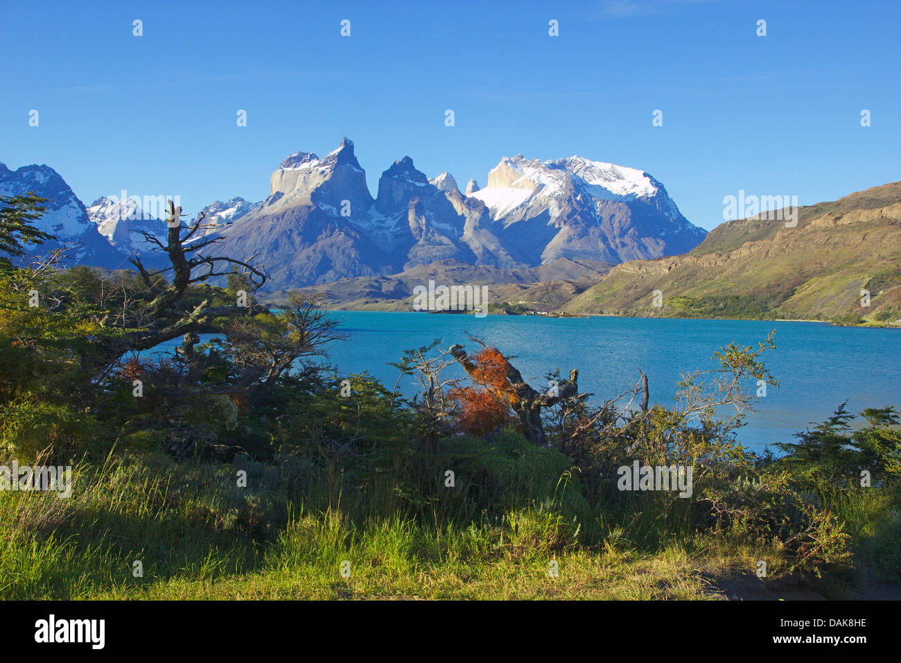 Cuernos del Paine et Lago Pehoe, Chili, Patagonie, Torres del Paine National Park Banque D'Images
