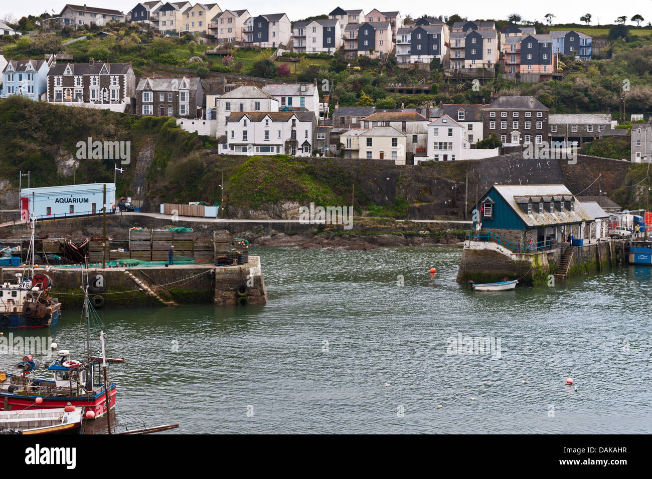 MEVAGISSEY, Cornwall, Angleterre, Grande-Bretagne, Royaume-Uni Banque D'Images