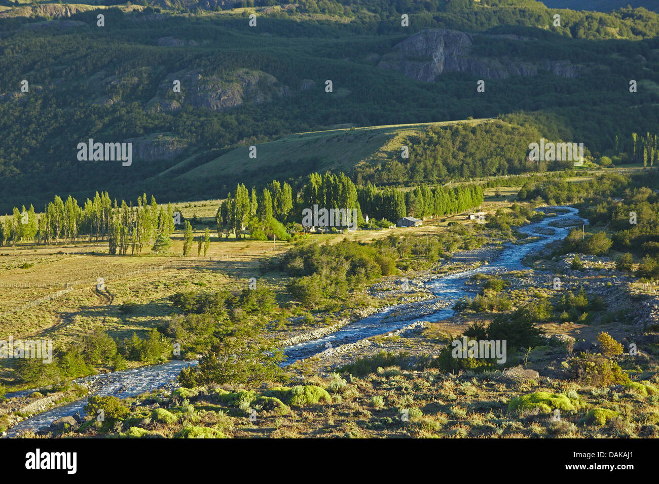 Dans la lumière du matin Rio Ibanez, Chili, Patagonien , Villa Castillo Banque D'Images