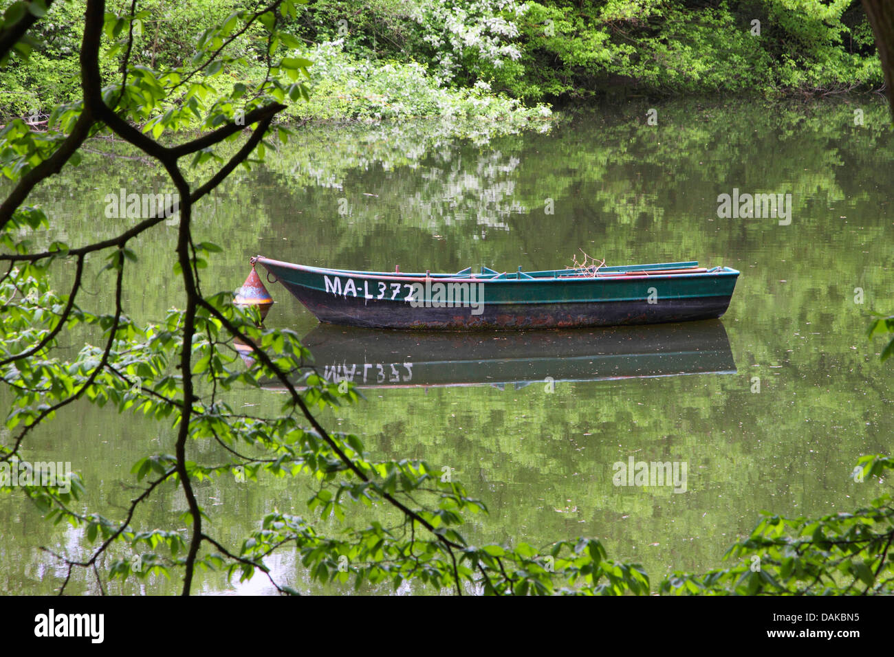 Forêt de plaine avec bateau sur la rivière, l'Allemagne, Bade-Wurtemberg Banque D'Images
