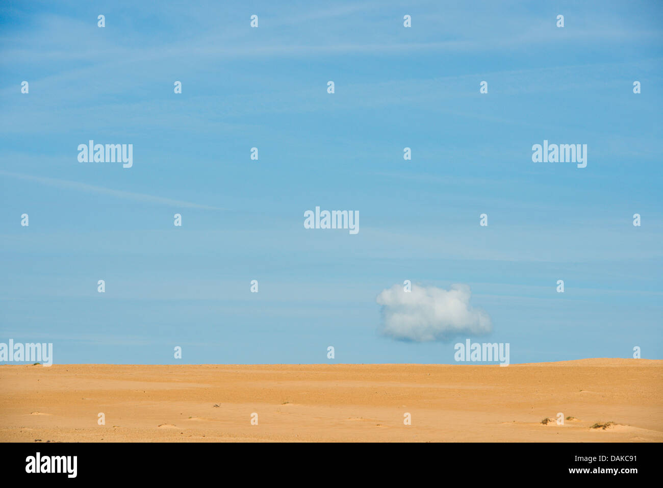 Dunes de sable et de ciel bleu avec un nuage, Pays-Bas, parc national De Hoge Veluwe Banque D'Images