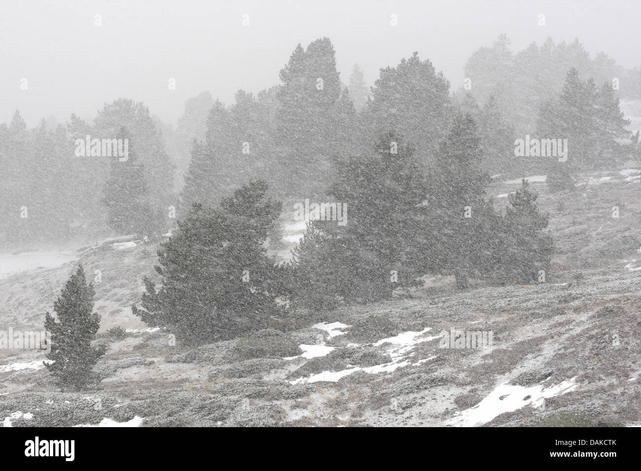 Tempête de neige au Col de Granon, France Banque D'Images