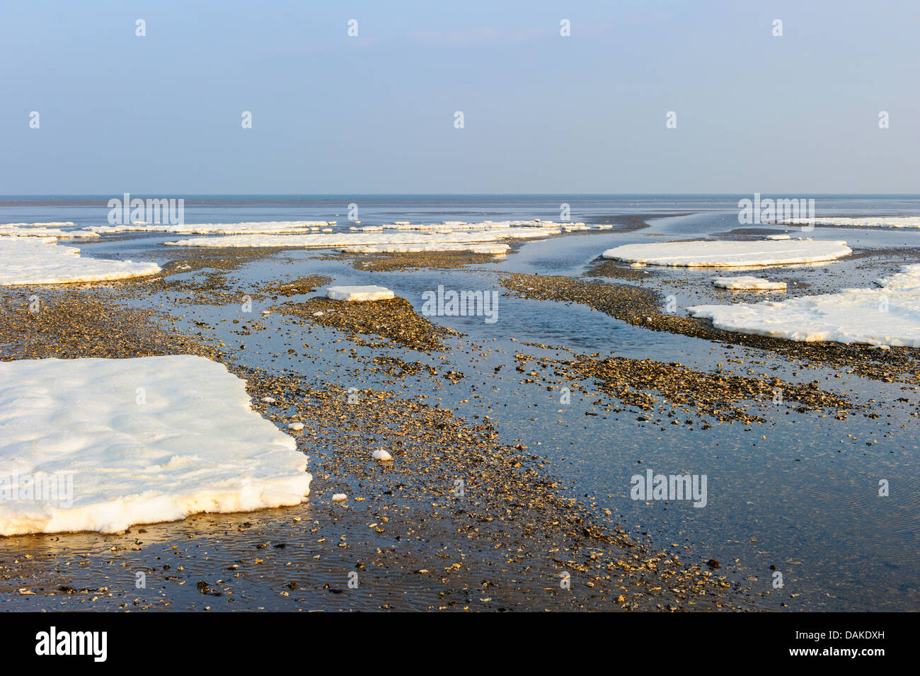 La formation de glace sur la côte de la mer du Nord, Pays-Bas, Texel Banque D'Images