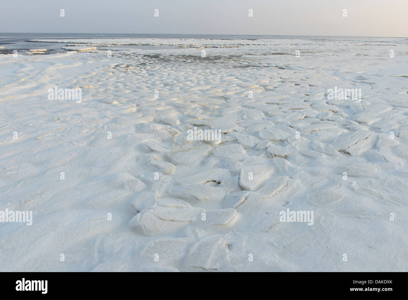 La formation de glace sur la côte de la mer du Nord, Pays-Bas, Texel Banque D'Images