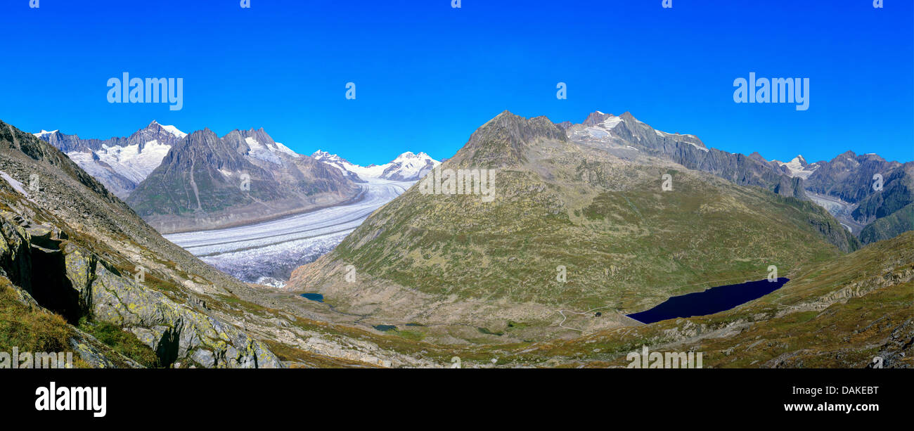 Glacier d'Aletsch avec Jungfrau et Moench, Suisse, Oberwallis, Aletschgebiet Banque D'Images