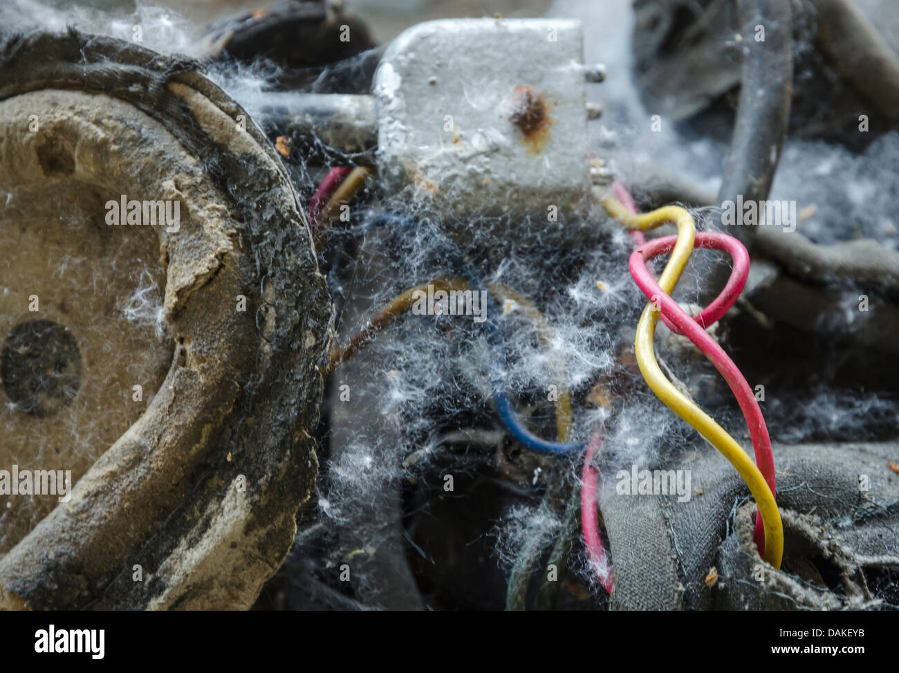 Redanyellow avec câbles pour plus moins Banque D'Images