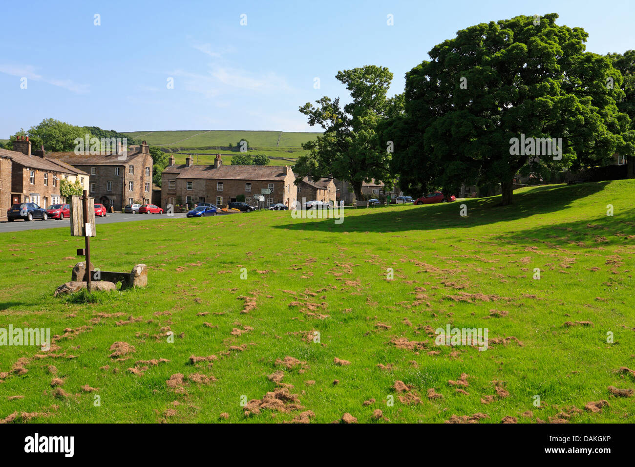 Les stocks sur village green Bainbridge Wensleydale Yorkshire Dales National Park England UK Banque D'Images