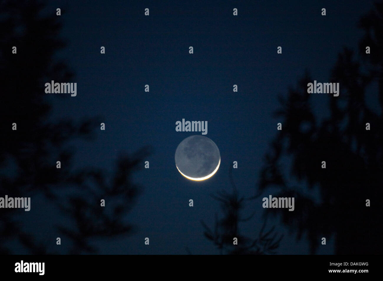 Nouvelle lune, 06.03.2011, l'Allemagne, Bade-Wurtemberg, Baden-Baden Banque D'Images