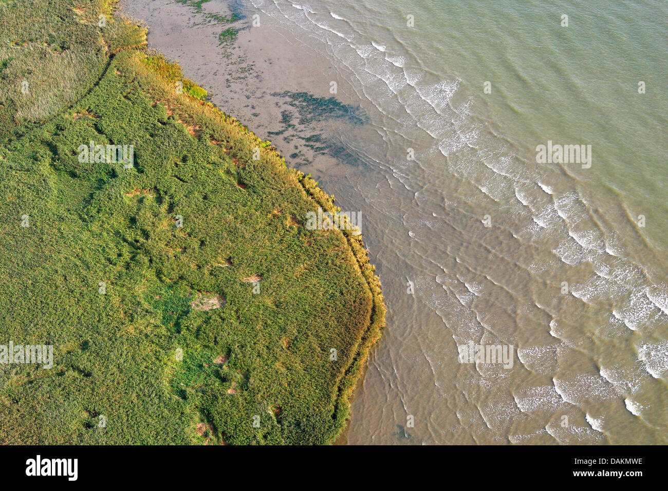 Vue aérienne de la rivière Schelde, Groot Buitenschoor, Belgique, Zeeuws Vlaanderen, Verdronken Land van Saeftinghe, Anvers Banque D'Images
