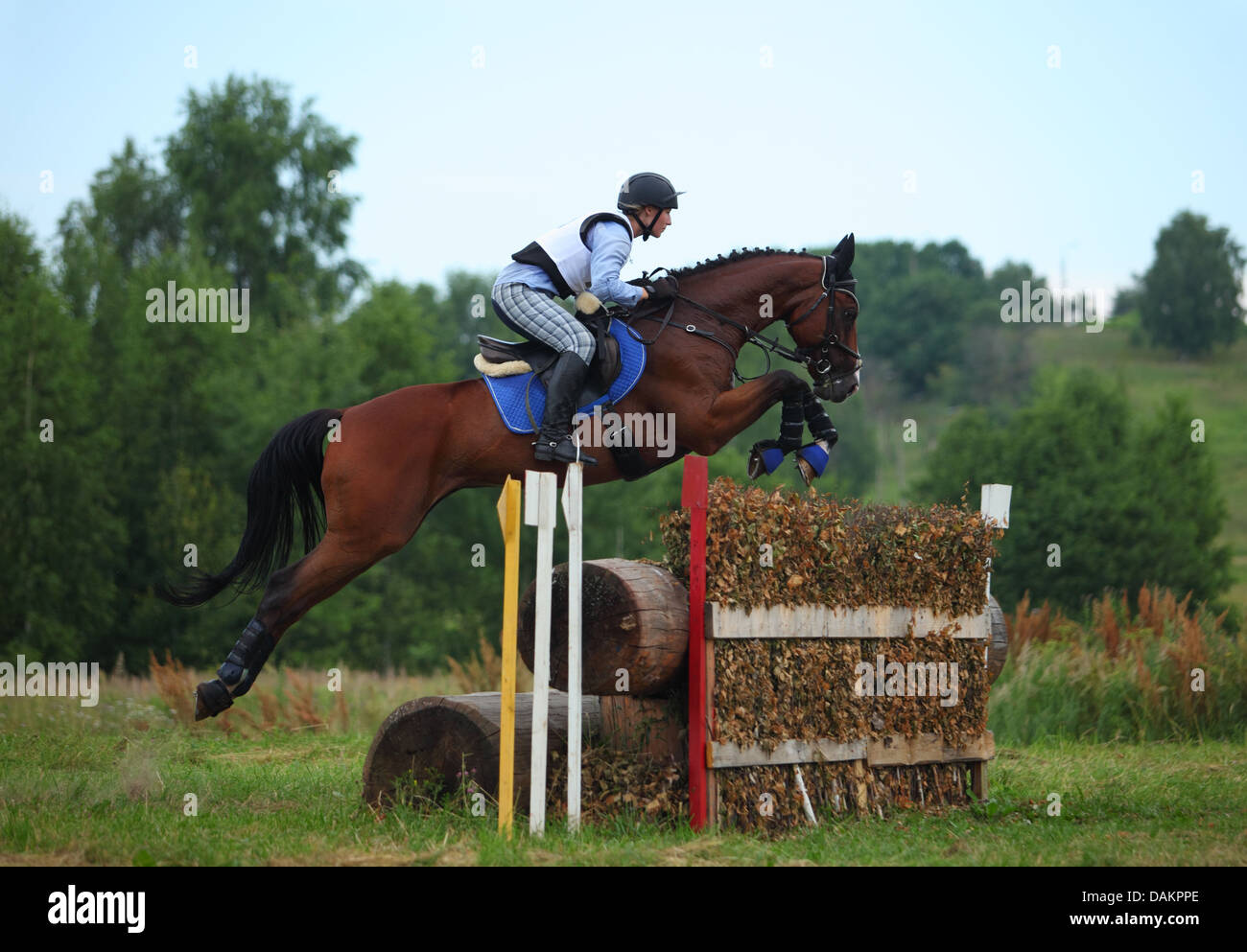 Procès cheval Saut Cross Country Banque D'Images