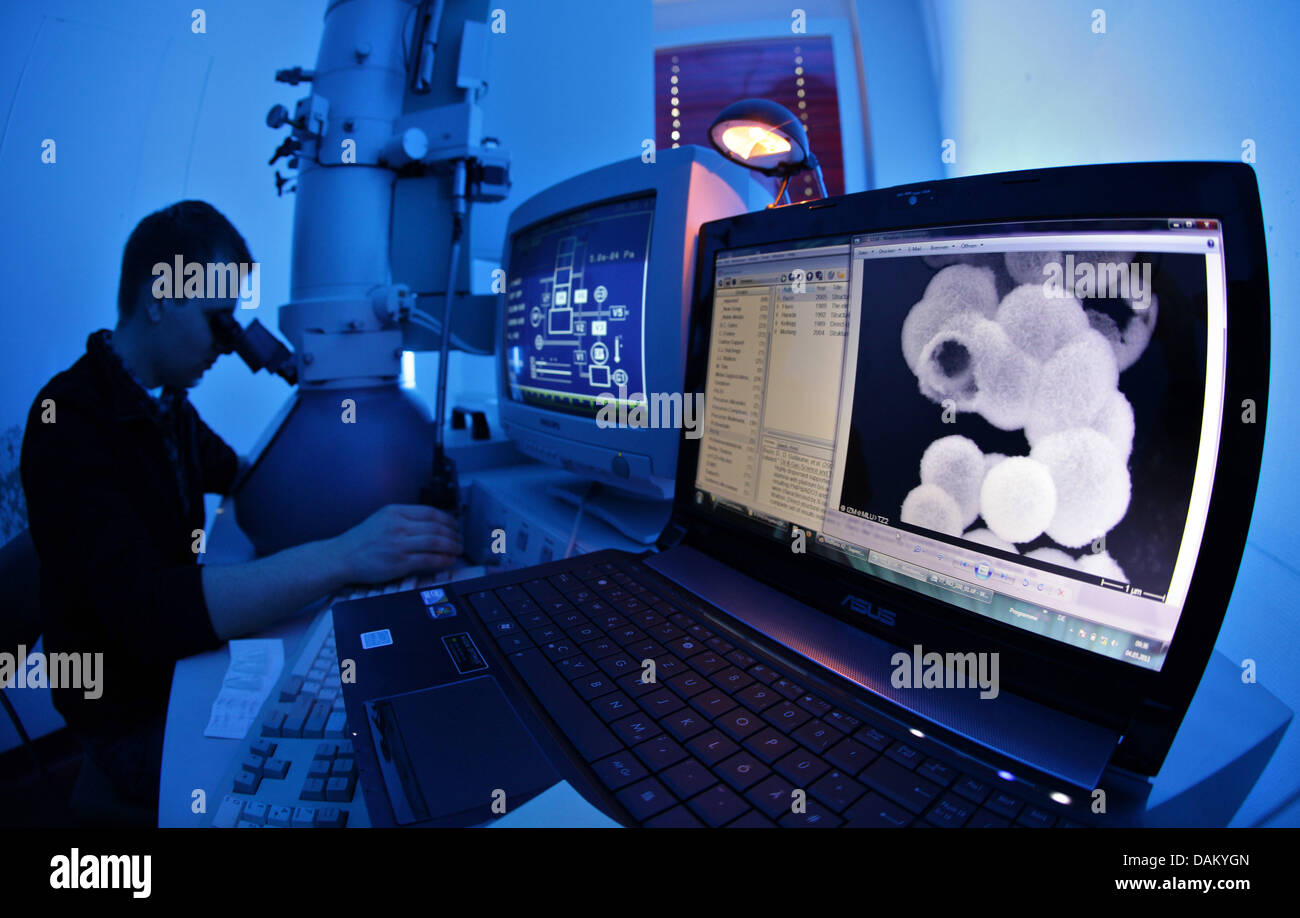 Patrick, étudiant au doctorat avec échantillons de mesures si nano billes des circonia avec un microscope électronique à transmission à l'Institut de chimie technique de l'université de Leipzig, Allemagne, 4 mai 2011. Les balles peuvent être remplis de nano particules et être utilisé dans les processus environnementaux. Le Leipzig graduate school 'BuildMoNa" (bâtiment avec des molécules et nano-objets) donne youn Banque D'Images