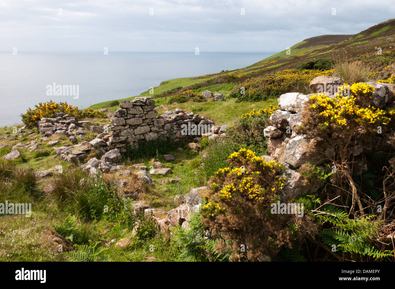 Ruines d'un pavillon sur la clifftops à Badbea, un village abandonné sur la côte est de Caithness, Ecosse Banque D'Images